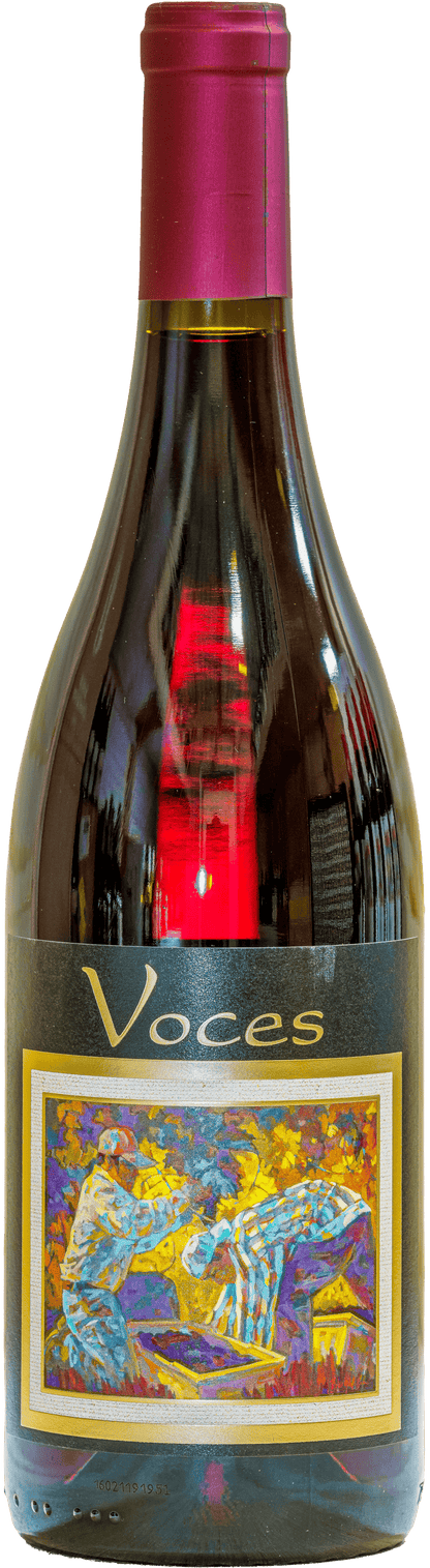 2019 Voces Pinot Noir